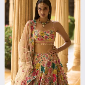 Bollywood Style  Lehenga Choli