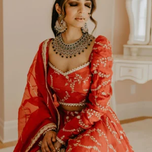 Gorgeous Red Lehenga Choli with Dupatta